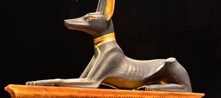 egyptian museum tours
