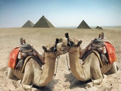 Luxury experience by the Great Pyramids of Giza