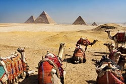 Most Egyptologists believe that the Giza Pyramids were built to be tombs for the ancient Egyptian pharaohs.