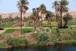 Experience the nile Valley while sailing down the Nile.
