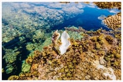 The beauty of Ras Mohammed by the Red Sea Coast, Sharm El Sheikh
