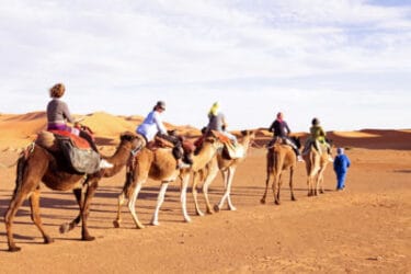 In The Realm of Arabian Nights Morocco