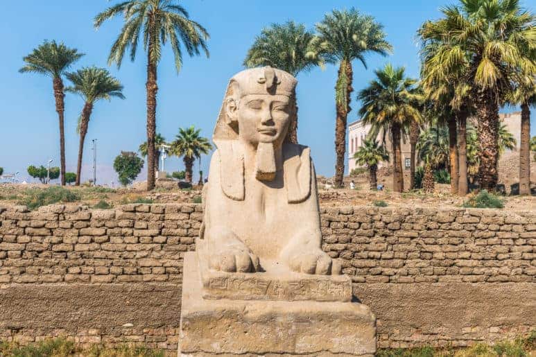 Sphinx statue of the sphinx alley of the Luxor Temple, East Bank of the Nile, Egypt