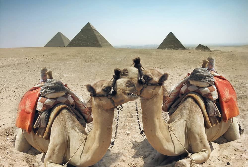 Giza: The Home of the Great Pyramids – All You Need to Know in 2019