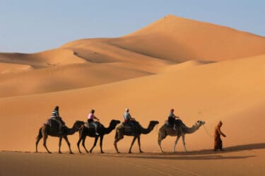 Camel caravan going through the sand dunes in the Sahara Desert, Morocco.