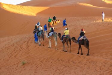 Camel Ride in Marrakech