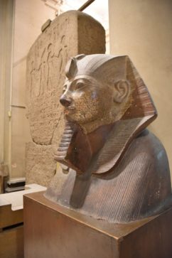 The Egyptian Museum in Egypt best tour