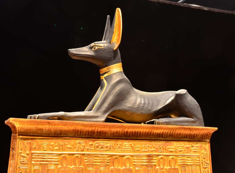 God Anubis