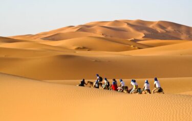 Camel caravan going through the sand dunes in the Sahara Desert