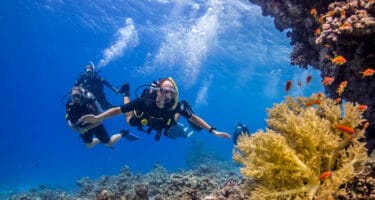 The Top Four Scuba Diving Spots in Egypt’s Red Sea