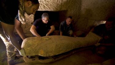 New Discovery in Saqqara, Egypt