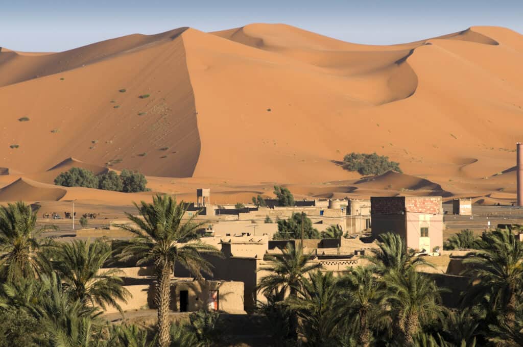 Houses and palm trees on the border with large sand dunes of the Sahara desert