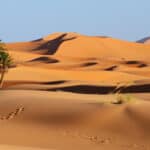 Sahara Dreams: Elevate Your Wanderlust with a Captivating Desert Tour in Morocco