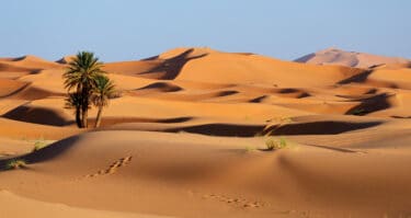 Desert Tour in Morocco