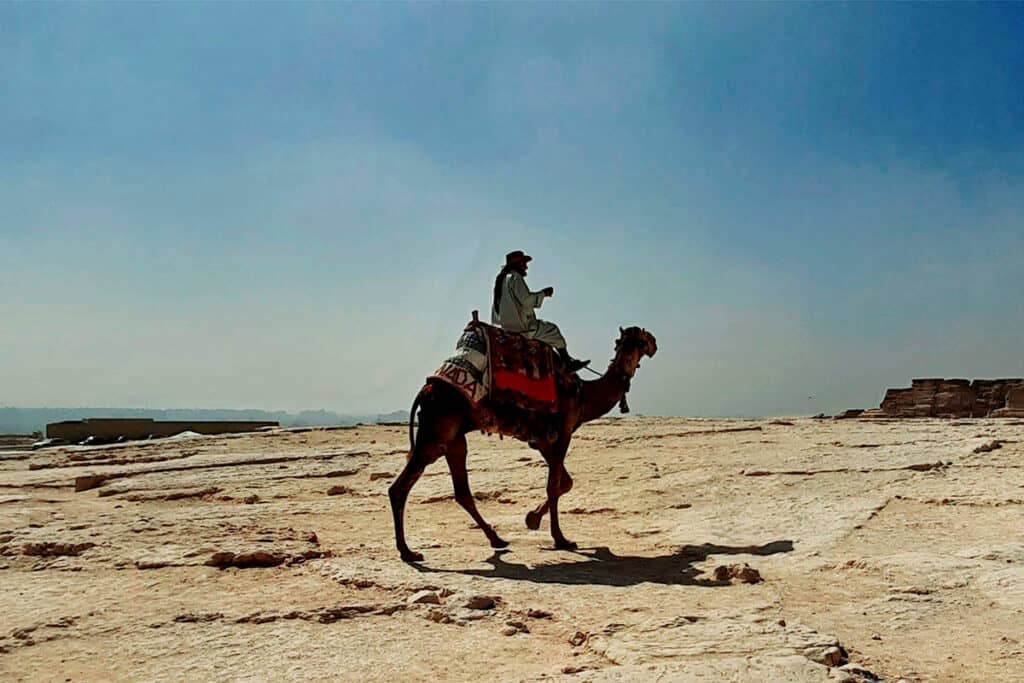 Camel Ride, Egypt